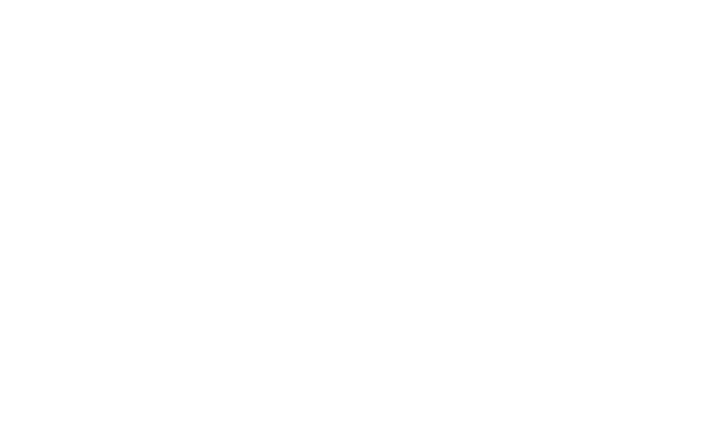 Panoramic Strategy White Logo